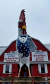 The 43 foot tall greeter at The Great American Steak and Chicken restaurant where we had lunch. Good southern food comfort food!